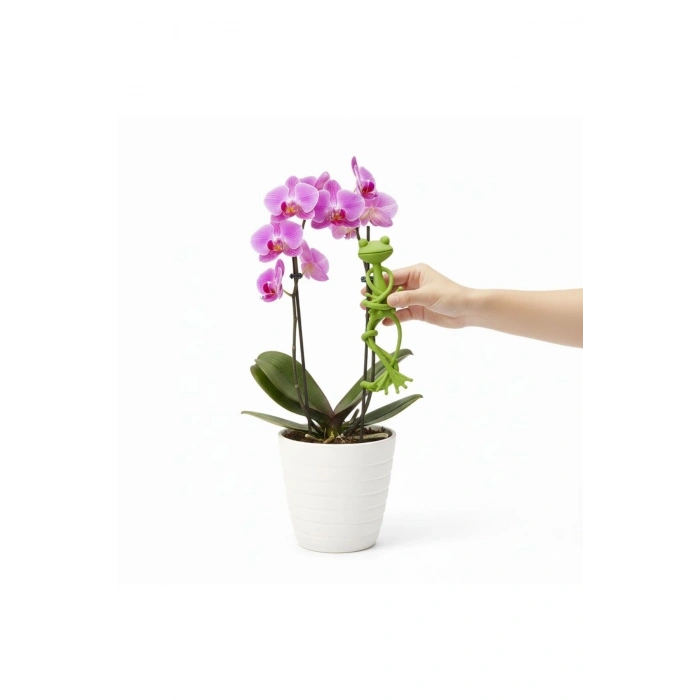 Kurbağa Şeklinde Bitki Sabitleyici – Bahçe ve İç Mekan Bitkileri İçin Dal ve Gövde Destek Aparatı, Ç