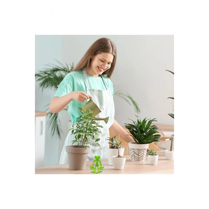 Kurbağa Şeklinde Bitki Sabitleyici – Bahçe ve İç Mekan Bitkileri İçin Dal ve Gövde Destek Aparatı, Ç