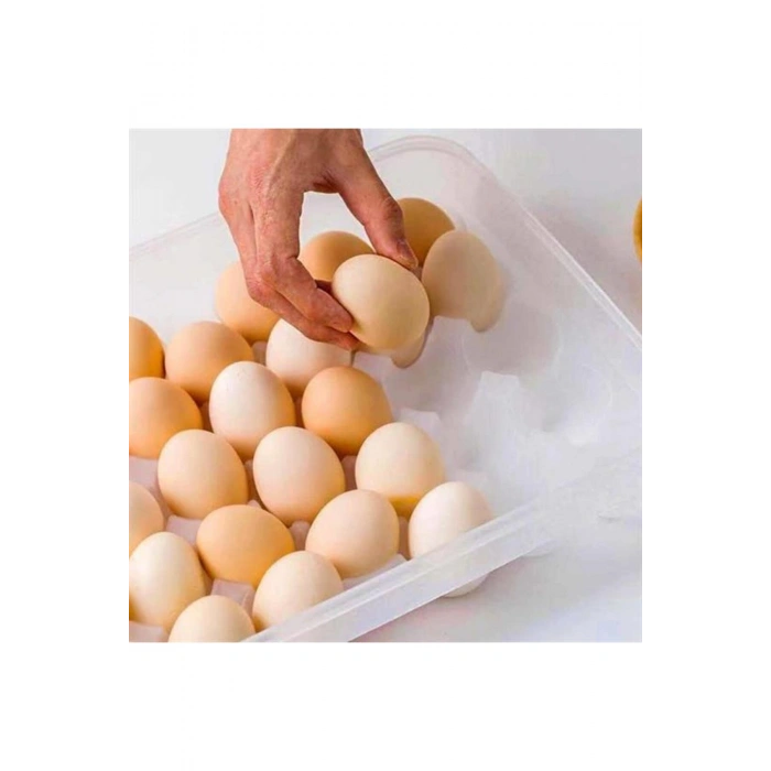 30'lu Yumurta Saklama Kabı (5324)