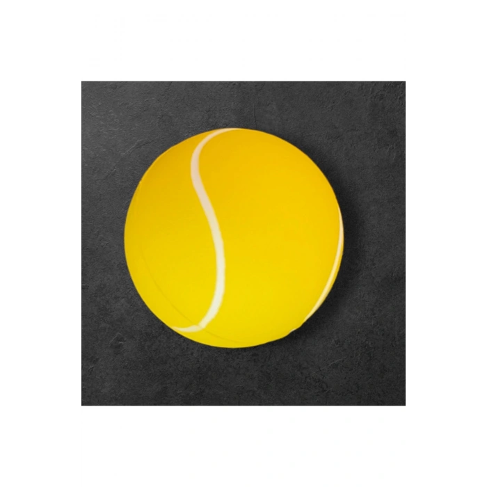 Evcil Hayvan Oyun Topu Small