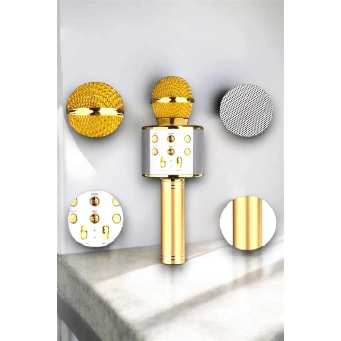 Taşınabilir Bluetooth Karaoke Mikrofon: Hafıza Kart Girişli, Etkileyici