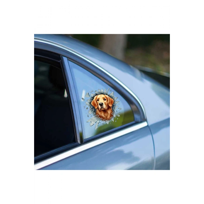 Fulcar Köpek Tasarımlı Araç Stickerı