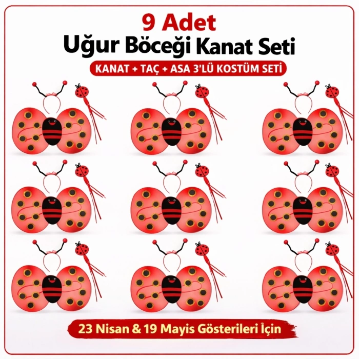 9’lu Uğur Böceği Ateş Böceği Kostüm Seti – Kanat Taç Asa (5324)