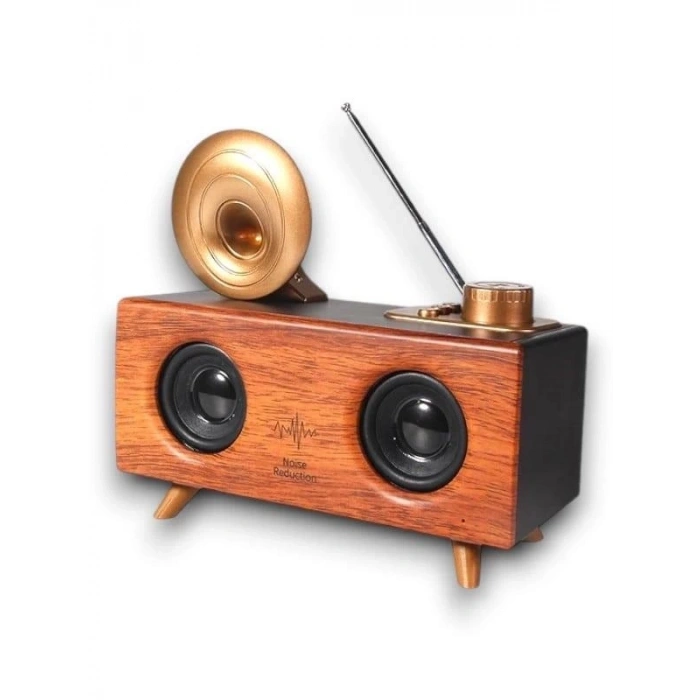 B6 SPEAKER HOPARLÖR