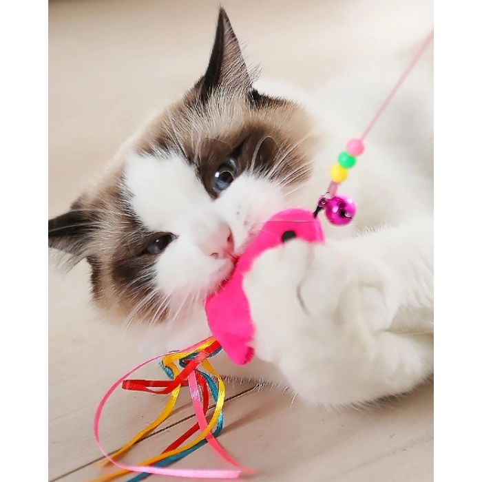 Balıklı Kedi Oyun Oltası 90 Cm (5324)