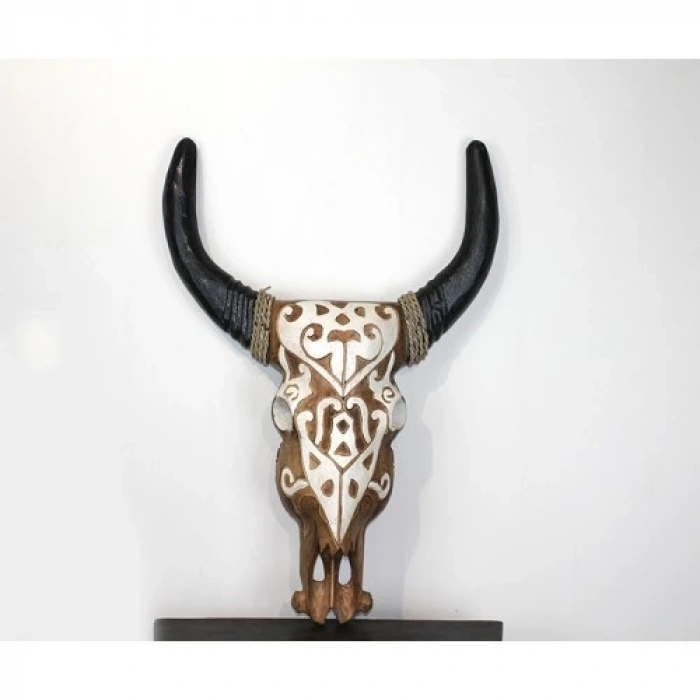Duvara Asmalı Bufalo Kafası