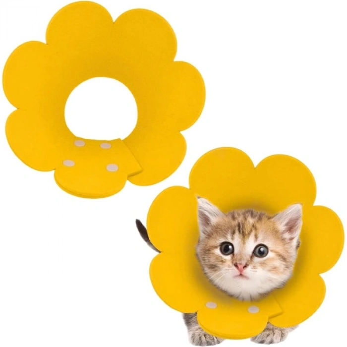 Evcil Hayvan S Boy Keçe Elizabeth Yakalığı