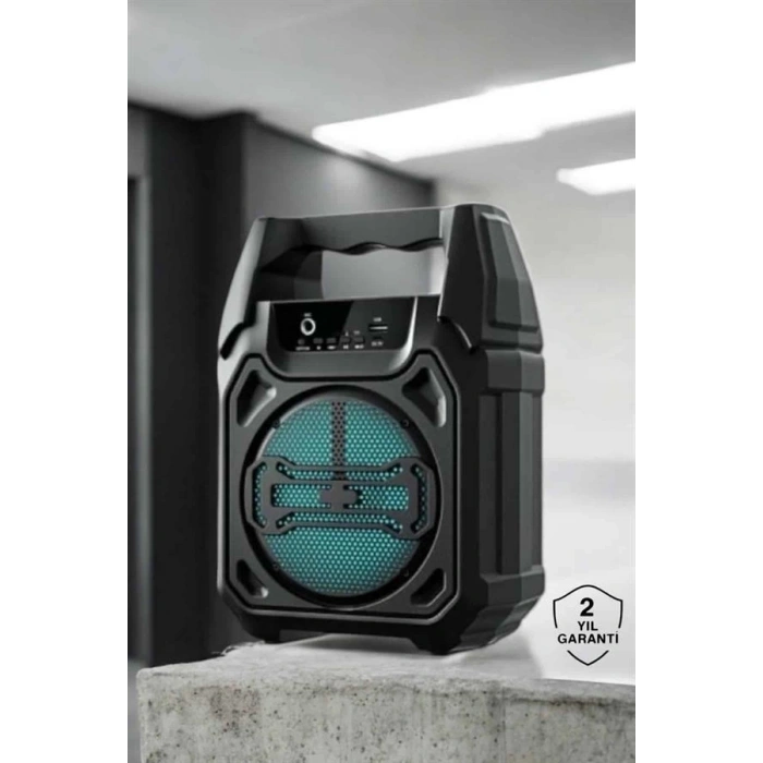 Kablosuz 6.5 İnç TWS Bluetooth Hoparlör