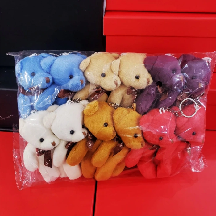 Karışık MevcutAyıcık Anahtarlık