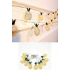 2m 10 Led Pilli 2 Kademeli Ananas Led Işık Mz6200-251