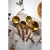 4lü Ahşap Saplı Ölçü Kaşığı