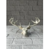 Dekoratif Geyik Başı Heykel 25 cm Modern Minimal Tasarım