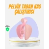 Evde Kullanıma Uygun Uyluk Kalça ve Pelvik Egzersiz Aleti
