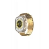 Watch 42mm Ascend Metal Kordon (SAAT DEĞİLDİR) - Gold