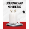 El Tipi USB Mini Soğuk Mist Nemlendirici 220 ml Tank