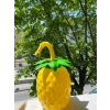 Ananas Pipetli Suluk