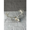 Dekoratif Geyik Başı Heykel 25 Cm Modern Minimal Tasarım