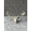 Dekoratif Geyik Başı Heykel 25 Cm Modern Minimal Tasarım