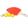 Masa Tenisi Seti (2 Raket + 3 Top) (5324)