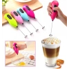 Mini Pilli Karıştırıcı ve Köpürtücü El Mikseri (5324)