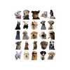 Sevimli Köpek Çıkartmaları Laptop Notebook Tablet Sticker Seti