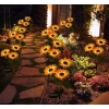 Solar Çiçek 2’li Paket
