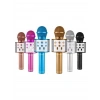 WİRELESS MİKROFON KARAOKE - HOPARLÖR USB ŞARJLI USB - TF - AUX RENKLİ KROM KAPLAMA PİL:800mAh - DC 5V BLS-25 (5324)