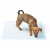 Yıkanabilir Köpek Çiş Pedi - 100 X 100 Cm 5li Paket