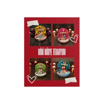 Mini Midye Teraryum - Özel Gün Hediyesi