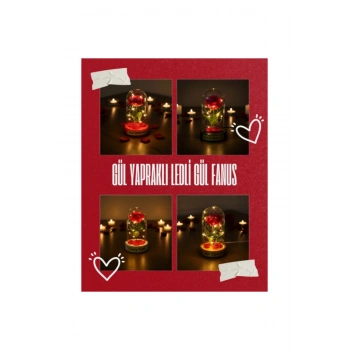 Gül Yapraklı Ledli Gül Fanus