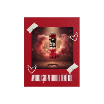 Ayıcıklı Şeffaf Kutulu Tekli Gül