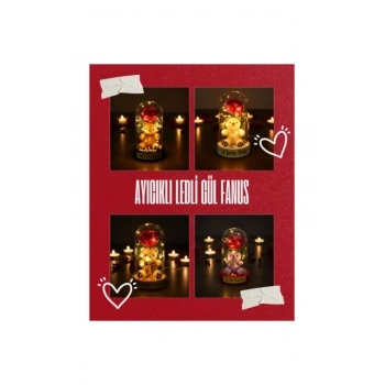 Ayıcıklı Ledli Gül Fanus