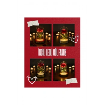 İncili Ledli Gül Fanus