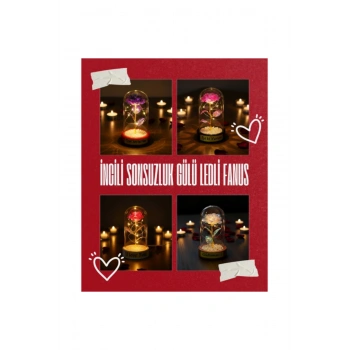 İncili Sonsuzluk Gülü Ledli Fanus
