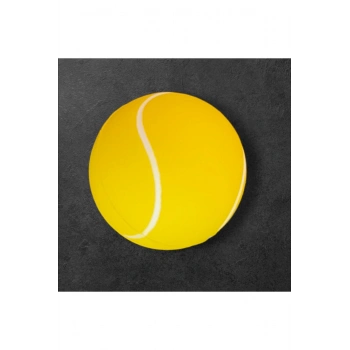 Evcil Hayvan Oyun Topu Mediun Nl 703