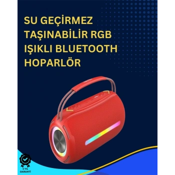 USB/SD/AUX Girişli Hoparlör – 10 W × 2 Çift Sürücü