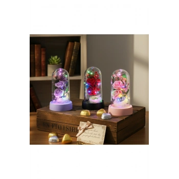 Işıklı Müzikli Romantik Fanus Tekli Gül