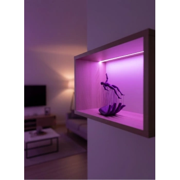 El İnsan Figürü Mor