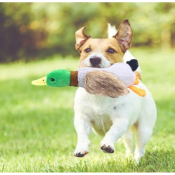 Sesli Ördek Şekilli Peluş Köpek Oyuncağı