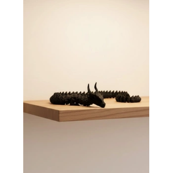 SİYAH HAREKETLİ EJDERHA