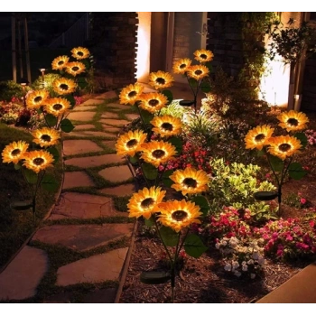 Solar Çiçek 2’li Paket