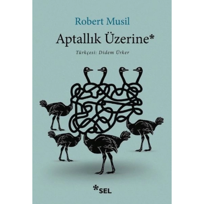 Aptallık Üzerine