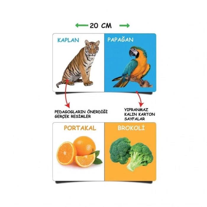 Mey İthalat® 2090 İlk Kütüphanem-İlk Sözcükler 8Li  Kitap Seti