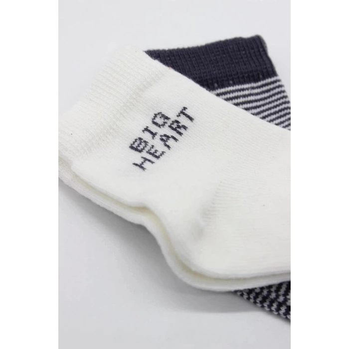 Mey İthalat®   2Li Big Heart Penye Soket Çorap 10117 Antrasit