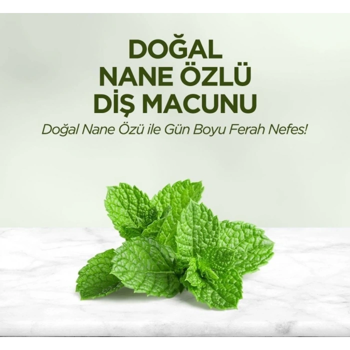 Mey İthalat®   Doğal Diş Macunu 90 Gr Nane Özlü