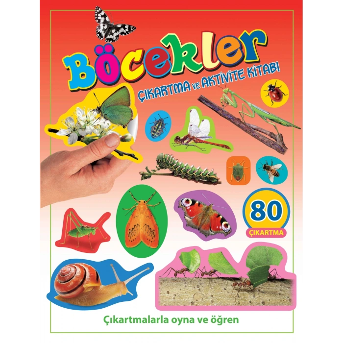 Böcekler - Çıkartma ve Aktivite Kitabı