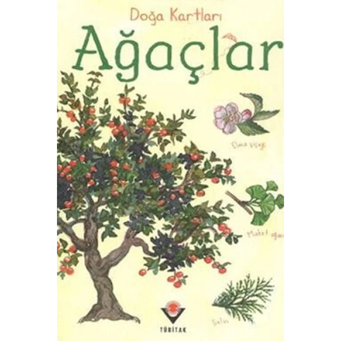 Doğa Kartları - Ağaçlar