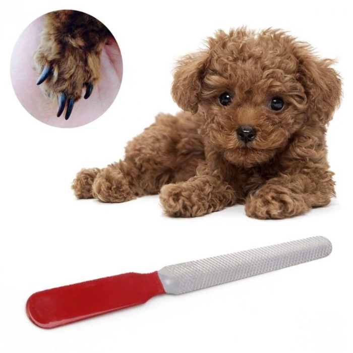 Evcil Hayvan Tırnak Makası Ve Törpü Seti Manikür Pedikür Pati Bakım Aleti Kaymaz Sap (5047)