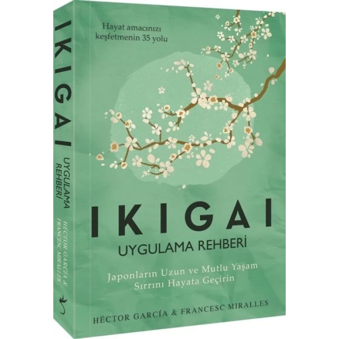 Ikigai Uygulama Rehberi