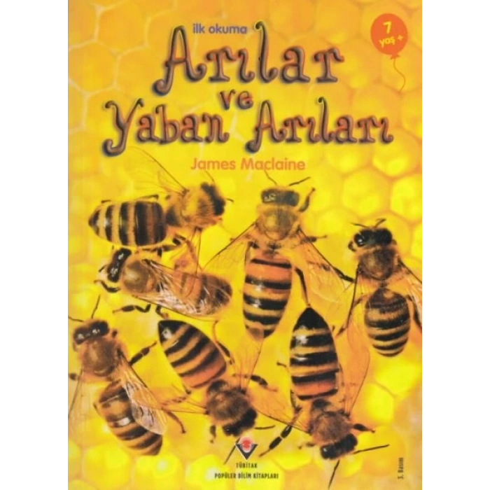 İlk Okuma - Arılar ve Yaban Arıları